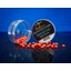 Bait Bait Ébredő Erő fluo method dumbel wafter 6x8mm Bait Bait Ébredő Erő fluo method dumbel wafter 6x8mm